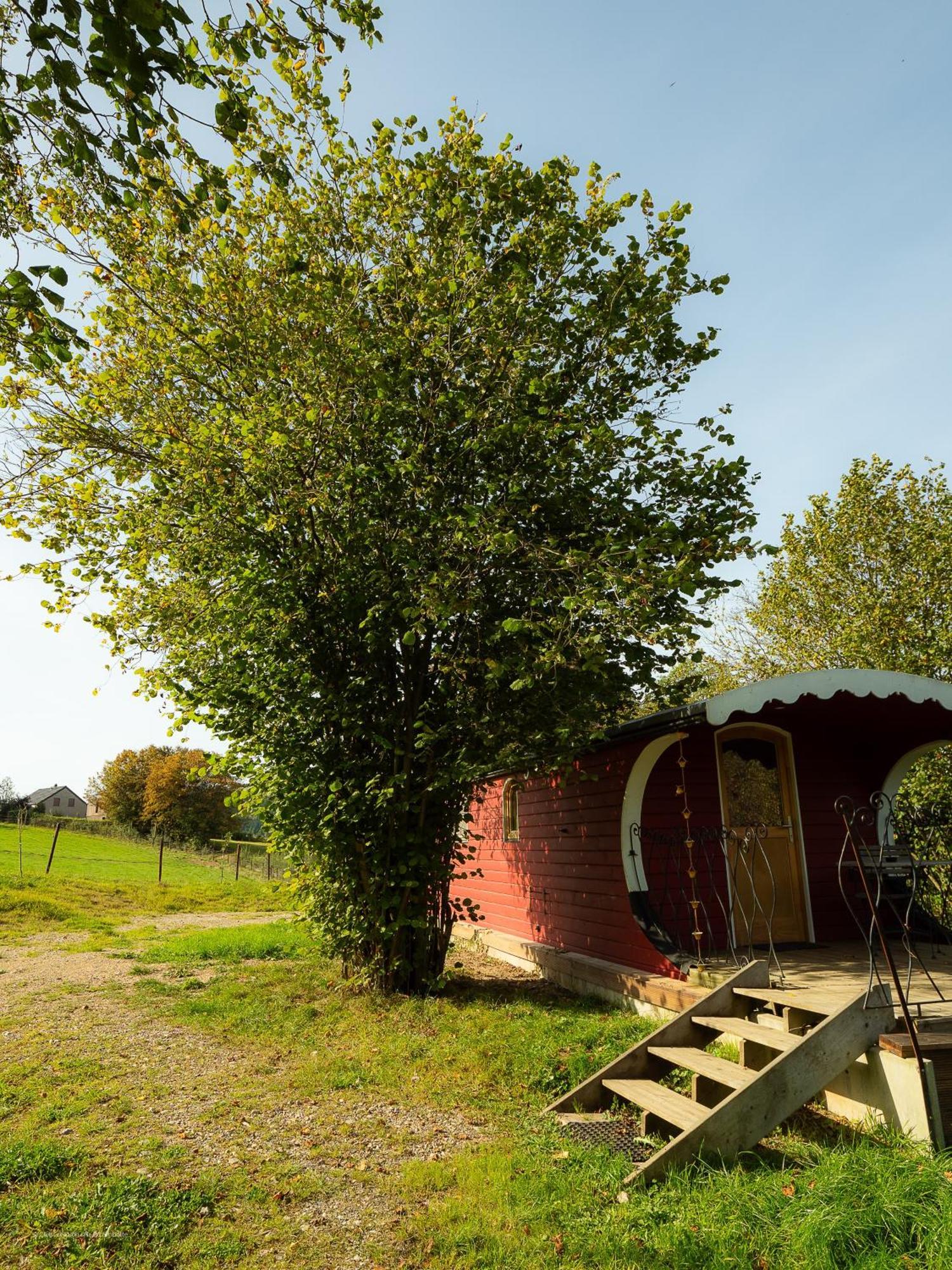 הוילה Lierneux La Tiny House De La Bergerie מראה חיצוני תמונה